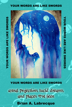 Your Words are like Swords Book